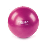 En promo/TIGUAR easyball 23cm ballon fitness