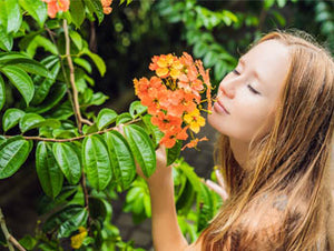 Pourquoi l’aromathérapie ?