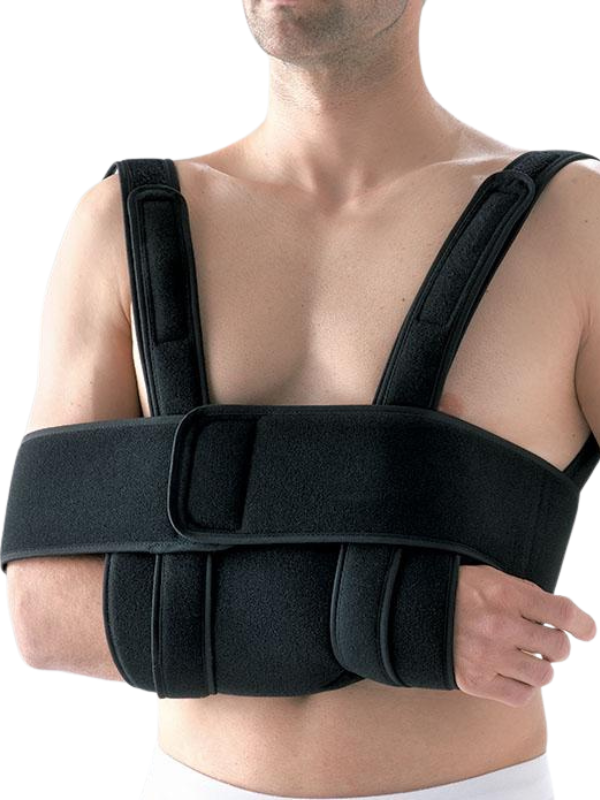 Écharpes & gilets de bras