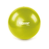 En promo/TIGUAR easyball 23cm ballon fitness