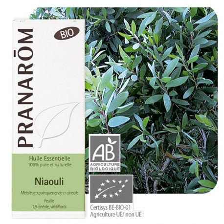 PRANAROM huile essentielle BIO niaouli   - feuille-10 ml