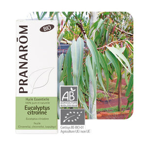 PRANAROM -huile essentielle bio eucalyptus citronné - feuille 10 ml