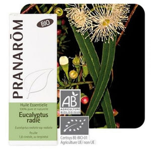 PRANAROM huile essentielle BIO eucalyptus radié  - feuille-10 ml