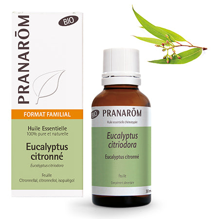 PRANAROM - huile essentielle bio eucalyptus citronné - feuille 30 ml