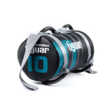 En promo/TIGUAR powerbag, sac de différents poids pour musculation
